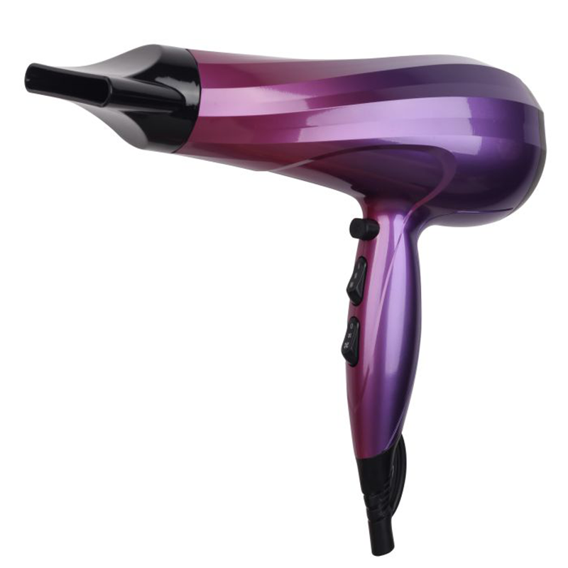 2400 Watt Hair Dryer With 2 Speed Control